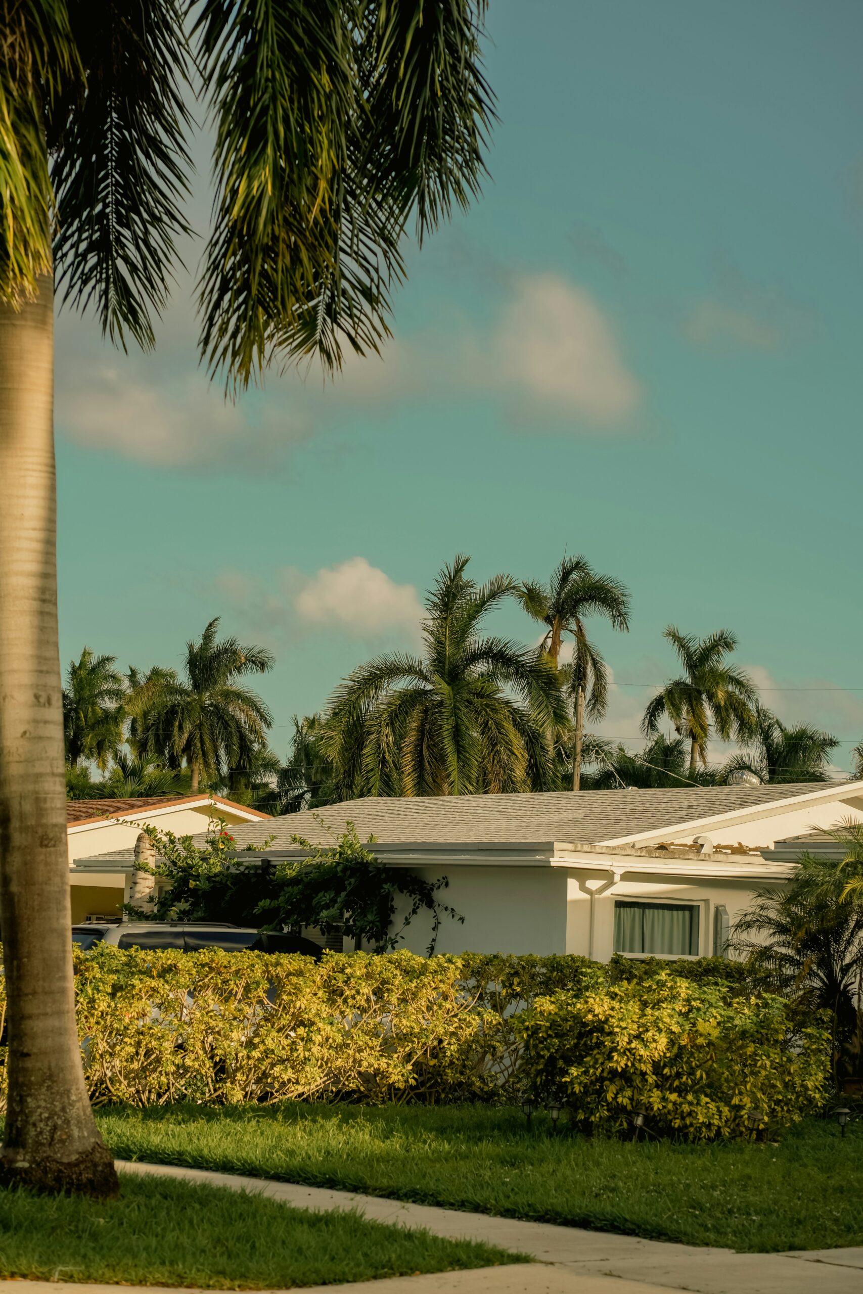 Investment Property Sunrise